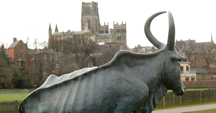 The Durham Cow sculpture on the riverbanks of Durham City 